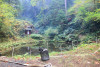Watershed 2 Post Fire October 2020