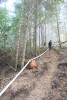 Watershed 2 Post Fire October 2020