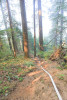 Watershed 2 Post Fire October 2020
