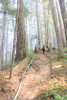 Watershed 2 Post Fire October 2020