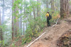 Watershed 2 Post Fire October 2020