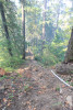 Watershed 2 Post Fire October 2020