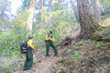 Watershed 2 Post Fire October 2020