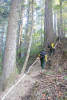 Watershed 2 Post Fire October 2020