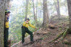 Watershed 2 Post Fire October 2020