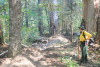 Watershed 2 Post Fire October 2020