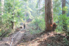 Watershed 2 Post Fire October 2020