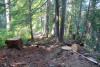 Watershed 2 Post Fire October 2020