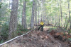 Watershed 2 Post Fire October 2020