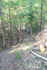 Watershed 2 Post Fire October 2020