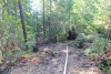 Watershed 2 Post Fire October 2020