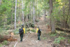 Watershed 2 Post Fire October 2020