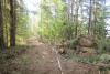 Watershed 2 Post Fire October 2020