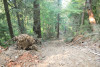 Watershed 2 Post Fire October 2020