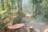 Watershed 2 Post Fire October 2020