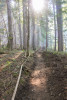 Watershed 2 Post Fire October 2020
