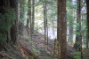Watershed 2 Post Fire October 2020