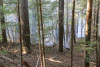 Watershed 2 Post Fire October 2020