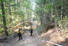 Watershed 2 Post Fire October 2020