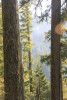 Watershed 2 Post Fire October 2020