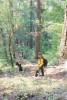 Watershed 2 Post Fire October 2020
