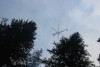 Watershed 2 Post Fire October 2020