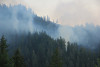 Watershed 2 Post Fire October 2020