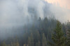 Watershed 2 Post Fire October 2020