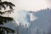 Watershed 2 Post Fire October 2020