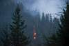 Watershed 2 Post Fire October 2020