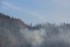 Watershed 2 Post Fire October 2020