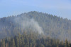 Watershed 2 Post Fire October 2020