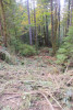 Watershed 2 Post Fire October 2020