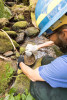 The Surber sample cup is rinsed through a sieve to capture any small aquatic invertebrates