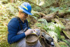 Stream Invertebrate Sampling 2021