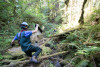 Stream Invertebrate Sampling 2021