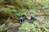 Stream Invertebrate Sampling 2021