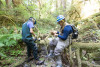 Stream Invertebrate Sampling 2021