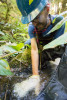 Bill Gerth uses his hand to gently disturb the stream bottom and dislodge stream invertebrates as the water flows into the Surber net