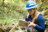Stream Invertebrate Sampling 2021