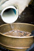 The Surber sample cup is emptied into a sieve