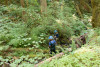 Stream Invertebrate Sampling 2021
