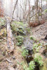 Watershed 09 Hydrology 2021