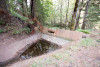 Watershed 09 Hydrology 2021