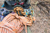 Canopy Ecology Field Work 2021