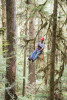 Canopy Ecology Field Work 2021