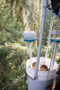 Canopy Ecology Field Work 2021