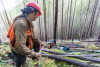 Post-fire vegetation survey WS1 2021