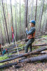 Post-fire vegetation survey WS1 2021