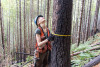 Post-fire vegetation survey WS1 2021